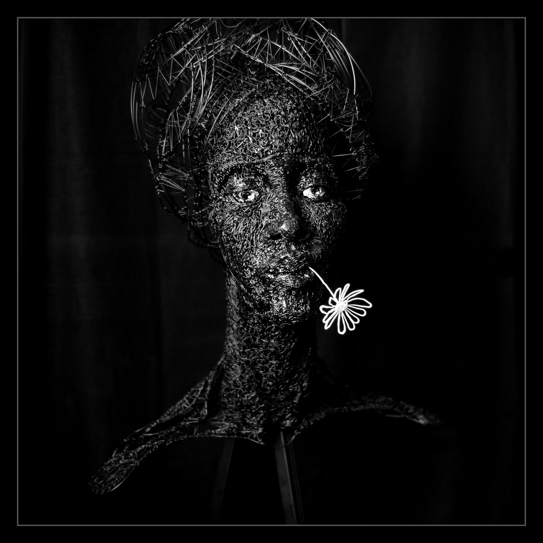 Silhouette nera